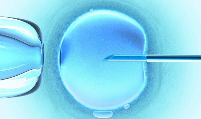 Embriyo Transferi Sonrası Dikkat Edilmesi Gerekenler