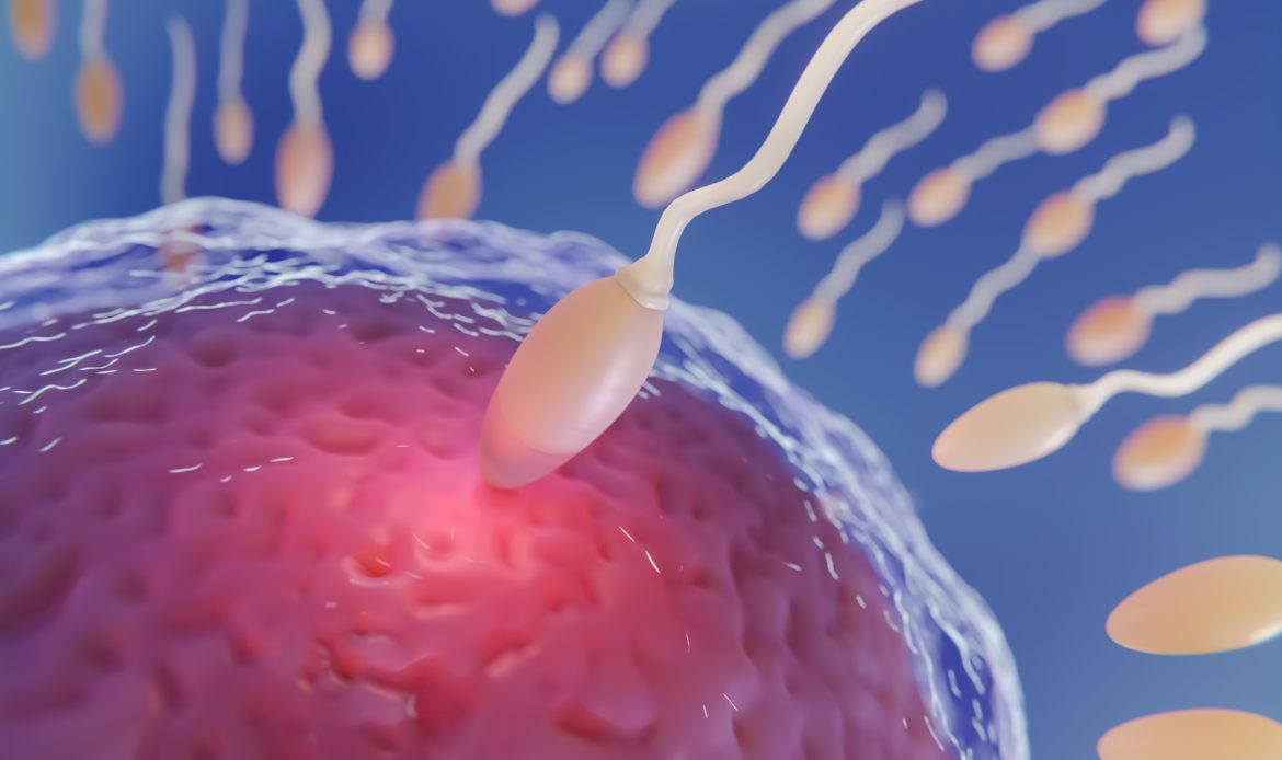 PRP In Vitro Fertilization FertiJin