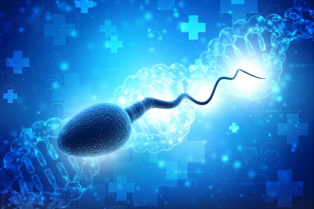 Sperm Dna Fragmentation