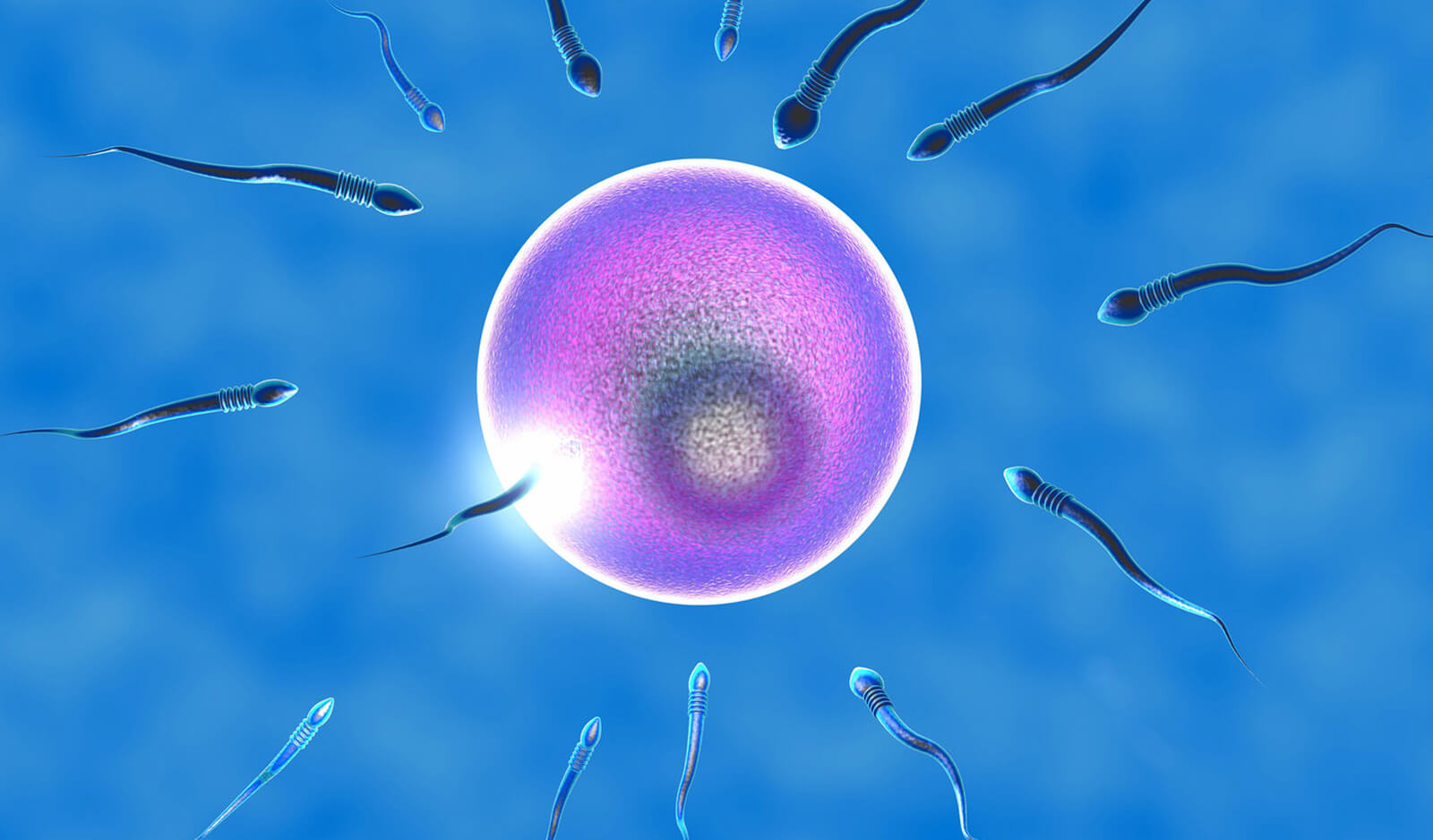tup bebek sperm yumurta kalitesi