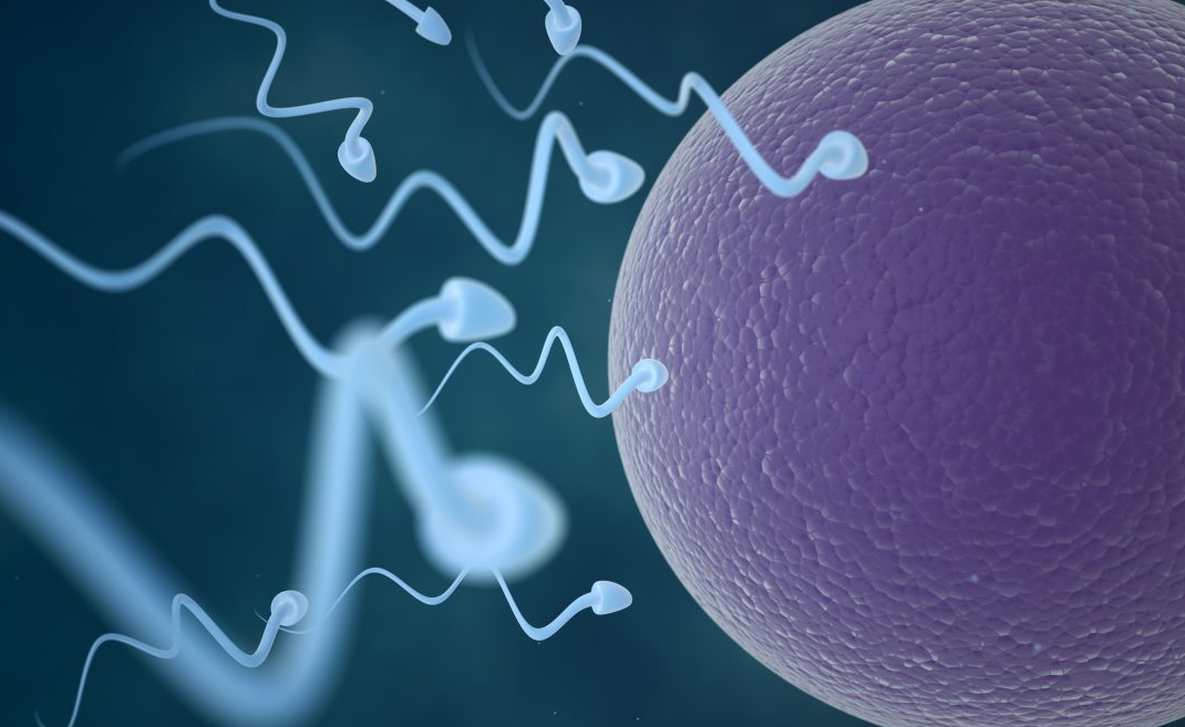 tup bebekte sperm ve yumurta kalitesi