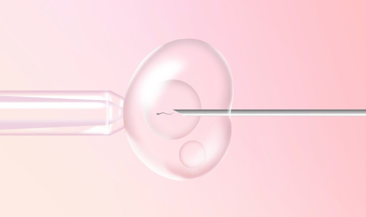 IVF Laboratory Stages