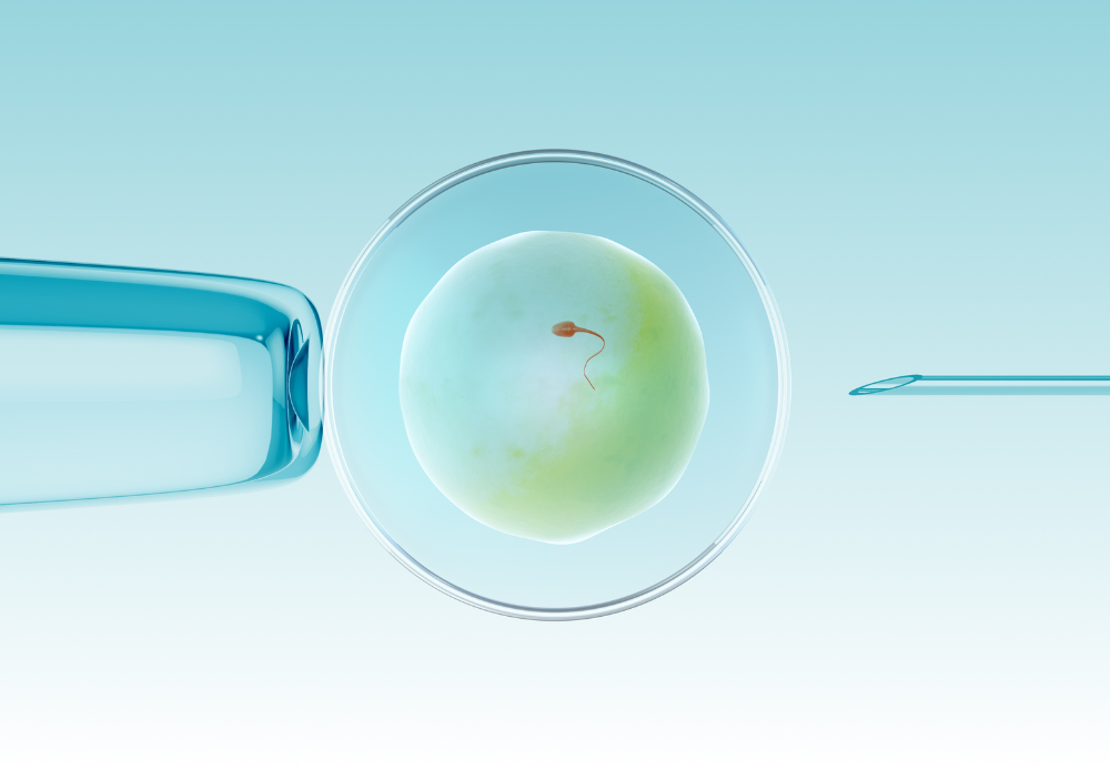 What Does Embryo Quality Mean?