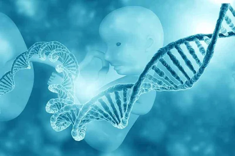 fetal-dna-testi