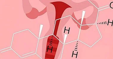 progesteron-hormonu-nedir